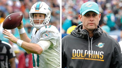 DDFP: Half Empty, Half Full: Dolphins