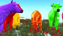 3D Vaca de un vistoso Color de la Canción | Niños de la Historieta de Rimas Para el Aprendizaje de Rimas de cuarto de niños del Bebé Colle