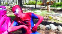 SPIDERMAN LOVES CINDERELLA in real life! El hombre Araña y la CENICIENTA / Superhéroes en el real de la sra.