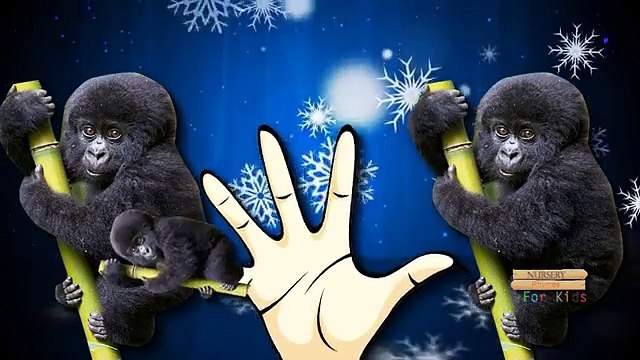 Finger Family Rhymes King Kong Cartoons For Children | Finger Family Nursery Rhymes King Kong
