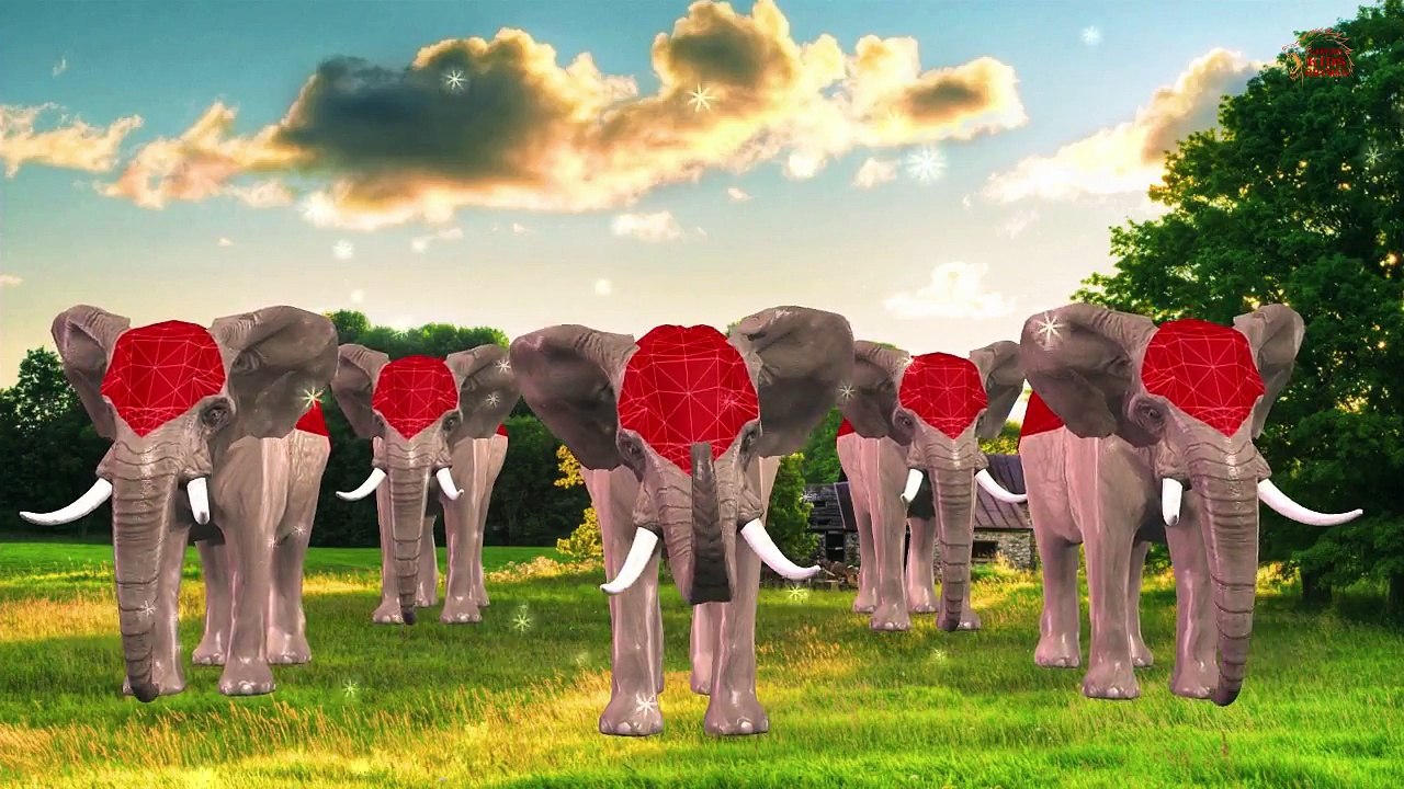 Lion Vs Gorilla Nursery Rhymes Songs With Lyrics | Children Rhymes For Kids Collection
