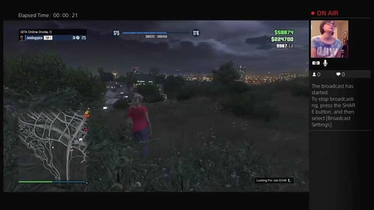 Gta (37)