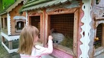 Actividades para niños Parque infantil Настюшик alimenta de conejos Jugando en el parque infantil