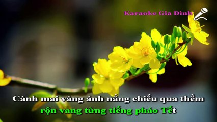 Vui Như Tết Karaoke - Beat Chuẩn (Thu Minh)