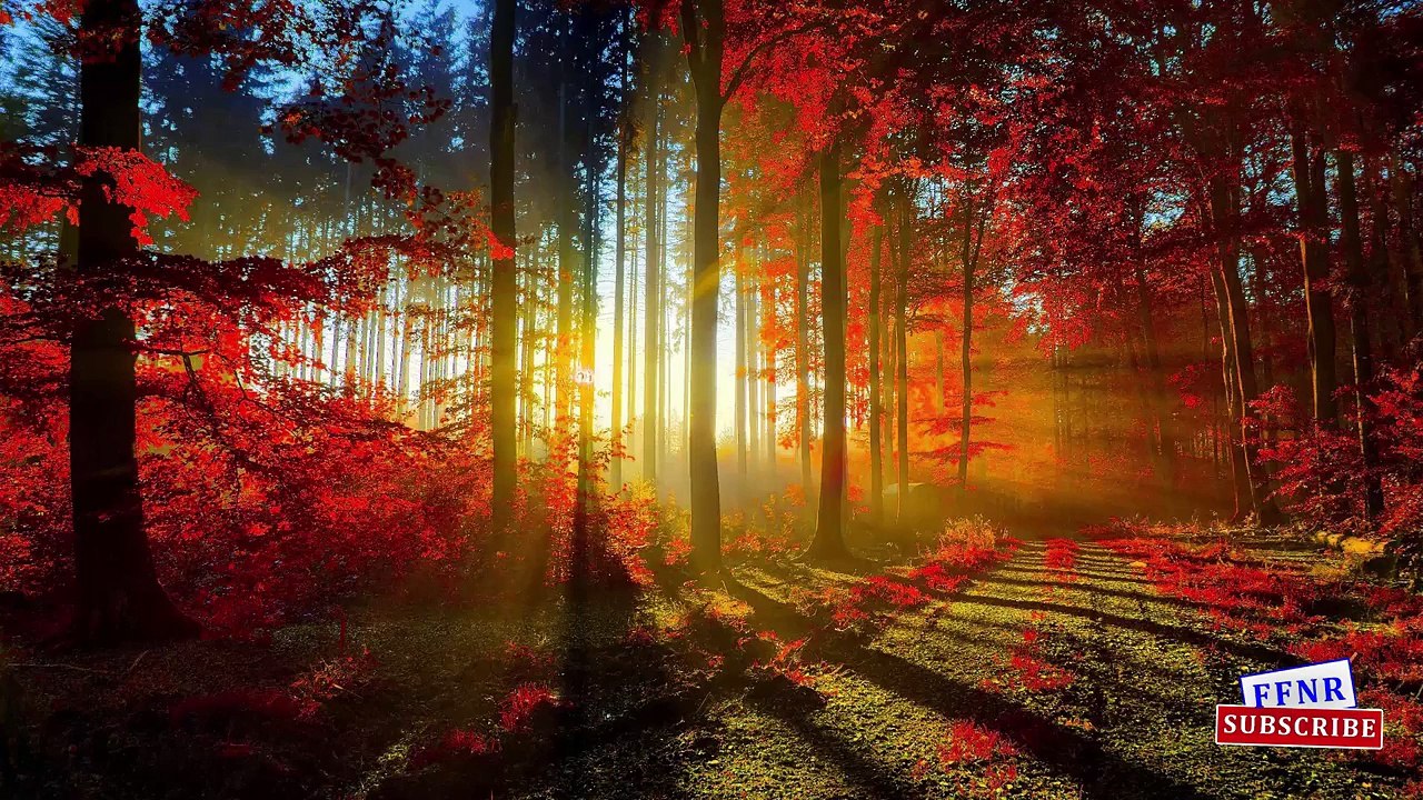 Kinder Joy Surprise Eggs Learning Street Vehicles Names For Kids Children Toddlers Nursery