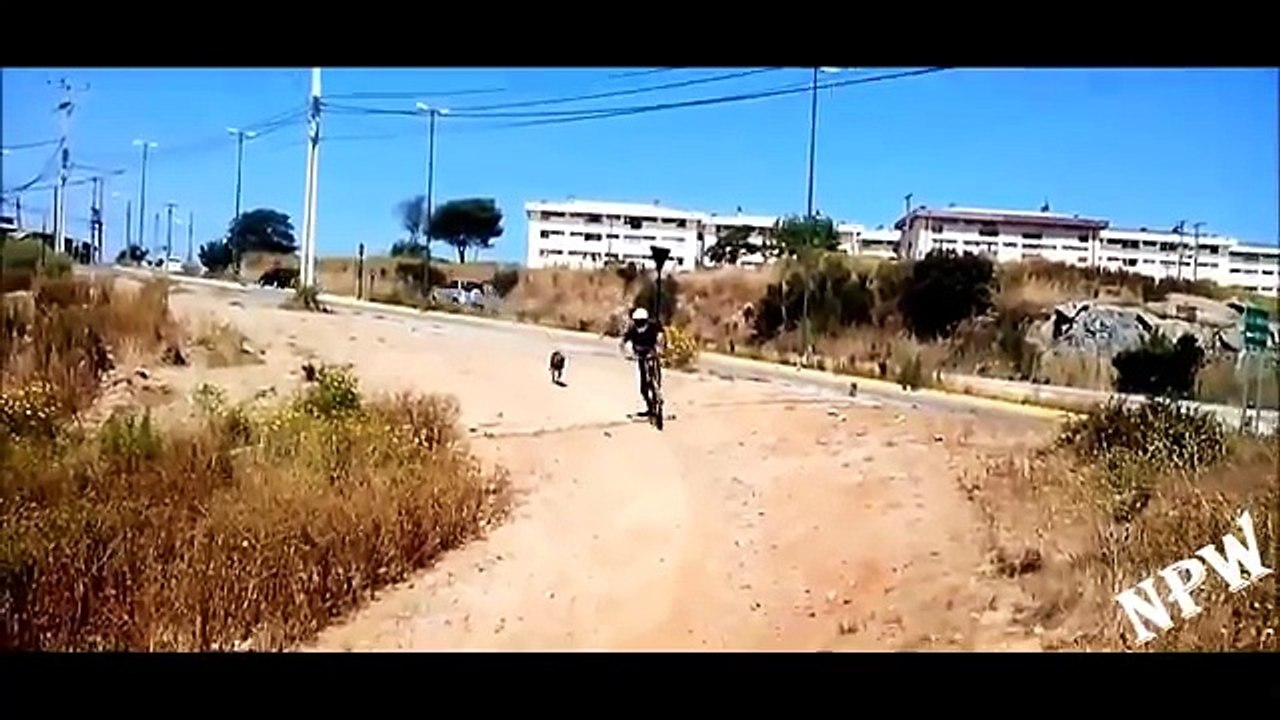 Funny Videos Compilation Fails Funny Ultimate November 2014