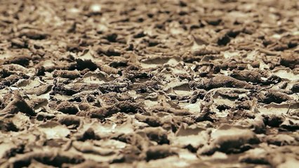 イ・ミンホ－PROMIZ－日本語字幕