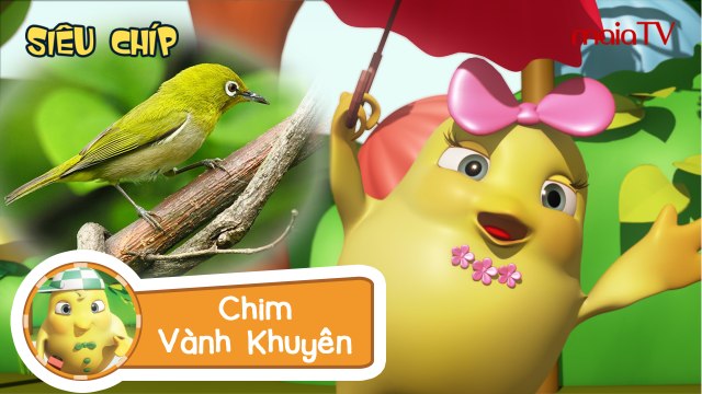 ✔ Nhạc thiếu nhi | CHIM VÀNH KHUYÊN| Chicken Band - Siêu chíp gà con