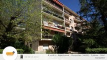 A vendre - Appartement - Montpellier (34000) - 3 pièces - 50m²