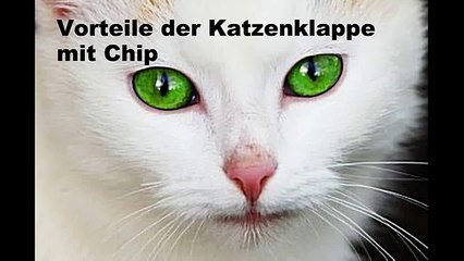 Die Funktionen der Katzenklappe mit Chip
