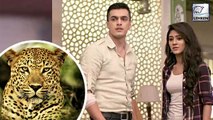 Leopard SPOTTED On The Sets Of Yeh Rishta Kya Kehlata Hai