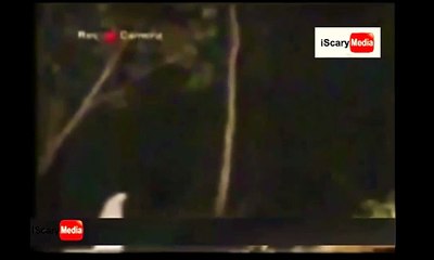 100%Real-Flying-Ghost-in= the -jungle- caught- by camera