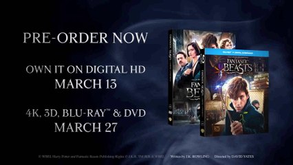 Fantastyczne Zwierzęta i jak je znalezć zapowiedz dvd/blu ray 28 marca 2017