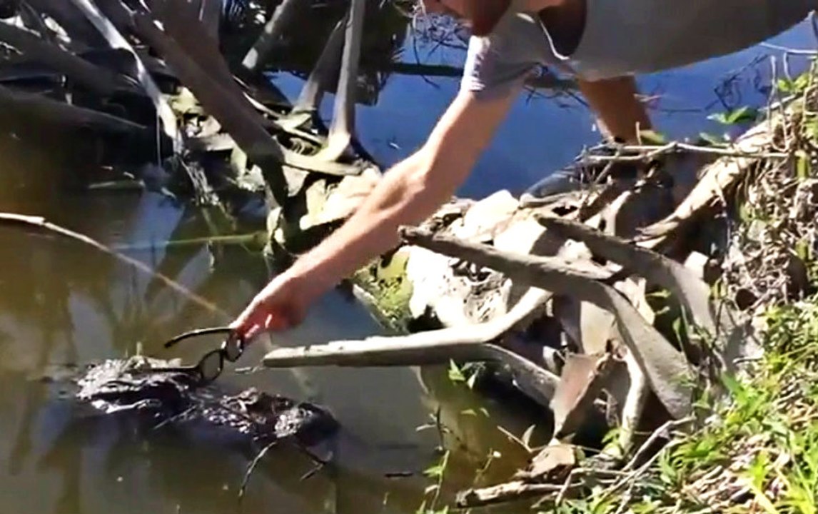 Who's Ready To Star In Another CSI Spinoff?