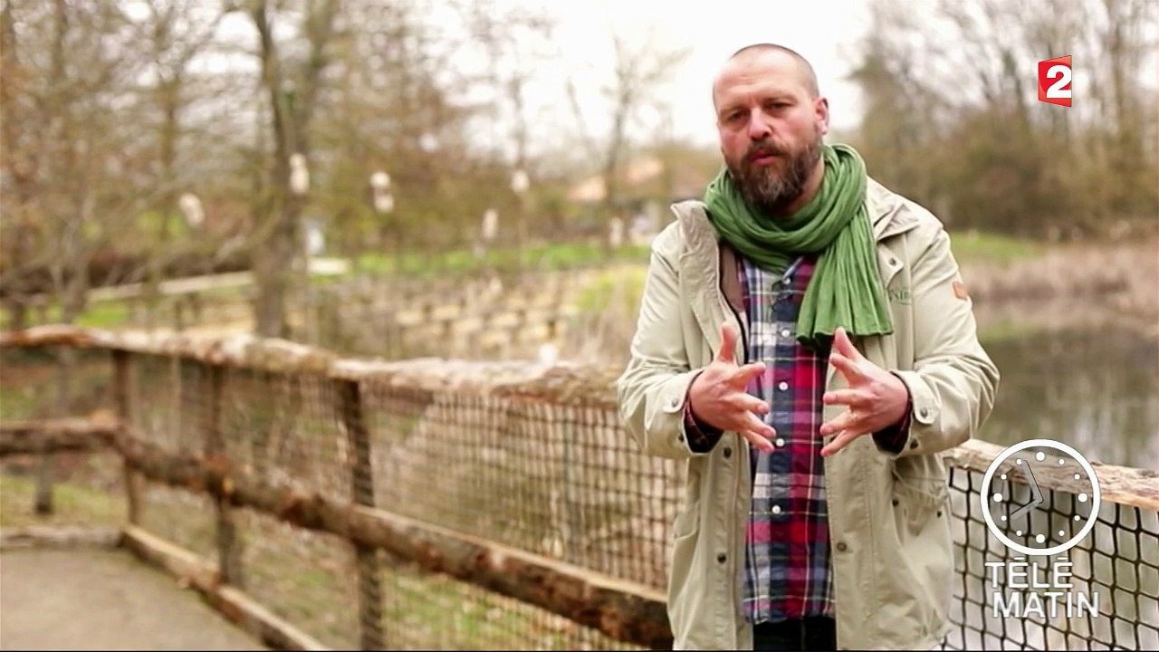 Faune - Rencontres amoureuses à la Vallée des singes