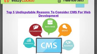 Top 5 Undisputable Reasons To Consider CMS Website Development Services