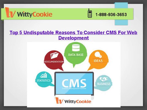 Top 5 Undisputable Reasons To Consider CMS Website Development Services