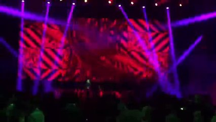 Un avion aux couleurs de Tomorrowland