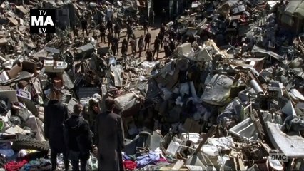 The Walking Dead : Zombie Punk Winslow