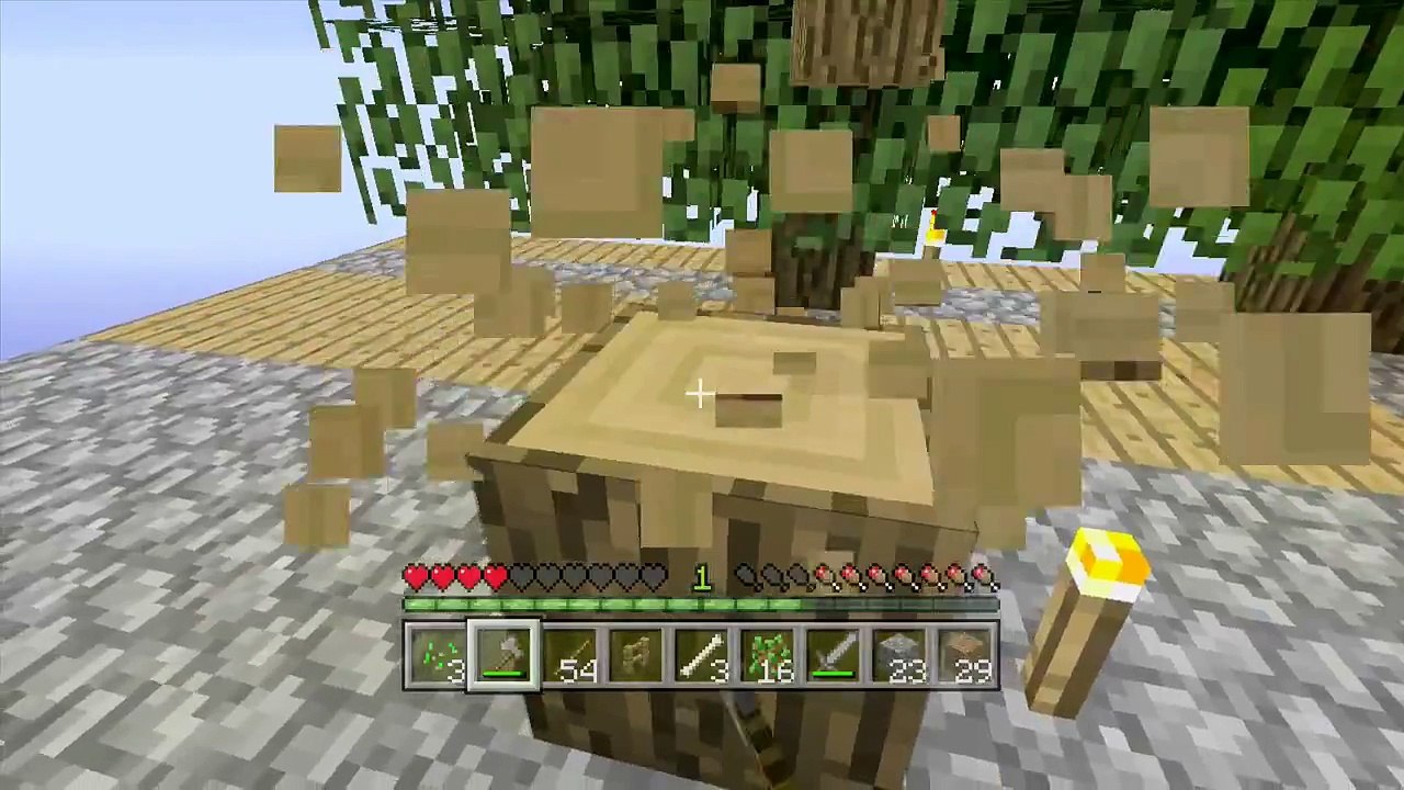 Minecratf Xbox Sky Island - WOOL! - (8)