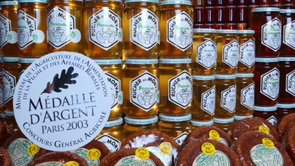 Rétrospective du Salon International de l'Agriculture