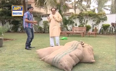 Bulbulay Episode 161 Bori band lash