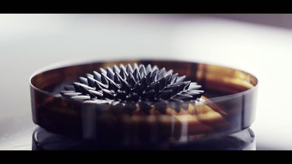 Popof Animal & Me Featuring Arno Joey - Going back 2015