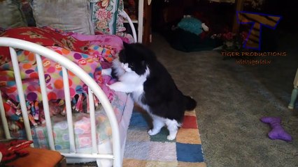 You will die laughing - Jagmohan Garg