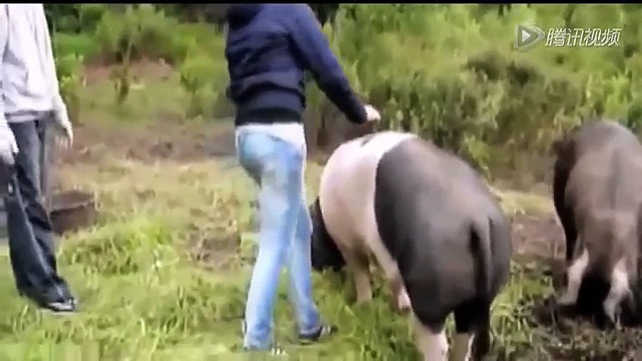 Gülmekten öleceğiniz sakarlıklar