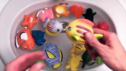 Baby Toys Bath Time Learning Sea Animals Names and sounds - Dori & Nemo Shark Video For Ch