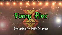 Funny Bread Cat Videos Compilation