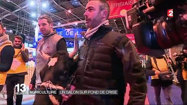 Salon de l'Agriculture : ouverture de la 54e édition