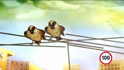 Best message for life !!!!!   guess which kind of message video give us??