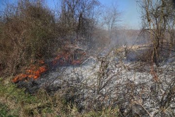 Kocaeli Ateşe Verilen Lastikler Makilik Alanı Yaktı
