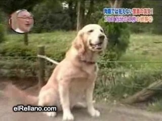 belleza de la camara lenta