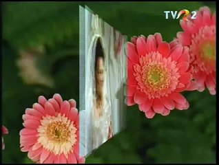 Elisabeta Turcu Juverdeanu - Mai vino, seara pe la noi