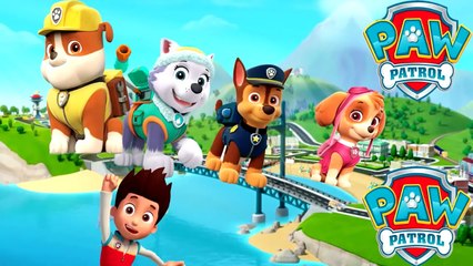 Paw Patrol - Fresh Beat Band Of Spies Transformation - Nursery Rhymes & Coloring Pages for