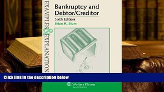 PDF [DOWNLOAD] Examples   Explanations: Bankruptcy   Debtor Creditor, Sixth Edition FOR IPAD