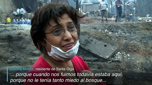 Los voraces incendios forestales de Chile