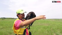 Plumas que salvan vidas: Custodios del cielo en el aeropuerto