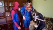 Spiderman actual FLORES Catwoman SPIDERMAN KISS CATWOMAN || Divertida Película de Superhéroes en R