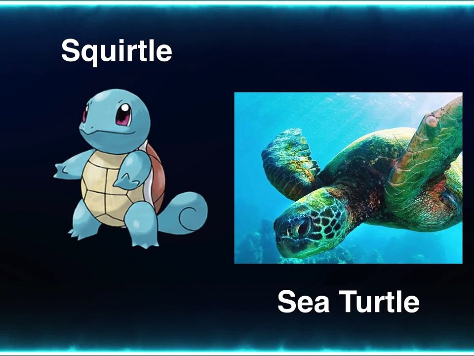 All Pokemon That Exist In Real Life | Learn Sea Animals - HandPlayTV for kids