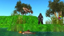 Los dinosaurios Vs León Gorila Elefante Dedo de la Familia Rimas infantiles de dibujos animados y Películas De cortometrajes