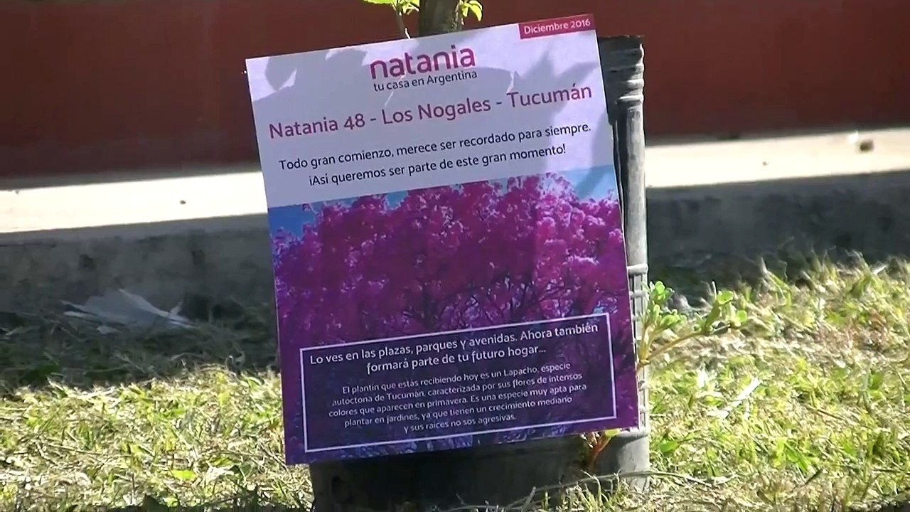 ¡Un gran fin de año en Tucumán! - Natania tu casa en Argentina