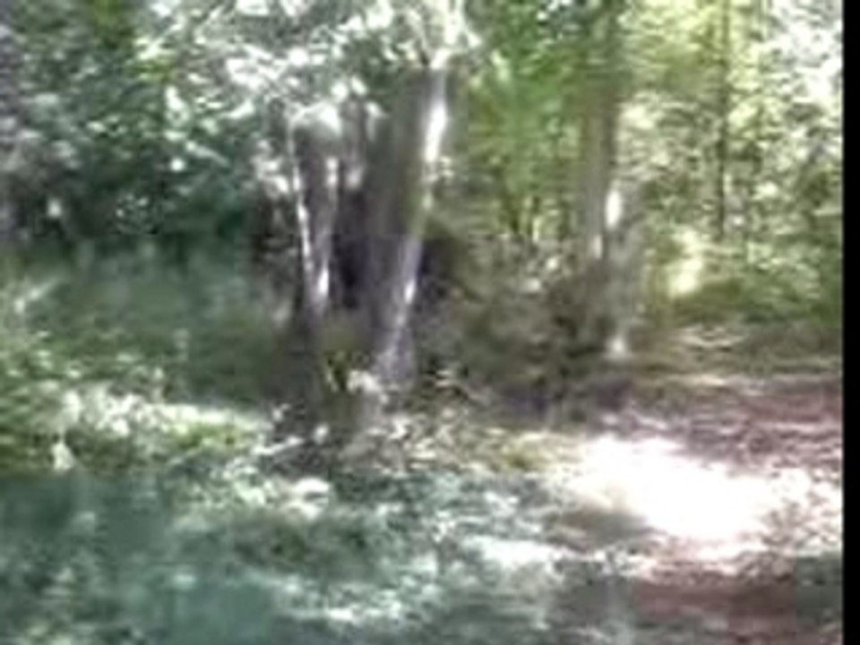 Airsoft - 16/09/2007