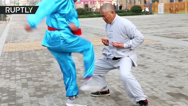 Ce maitre Kung Fu à les burnes en béton... Incroyable
