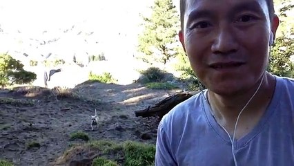 How to get seo clients fast
