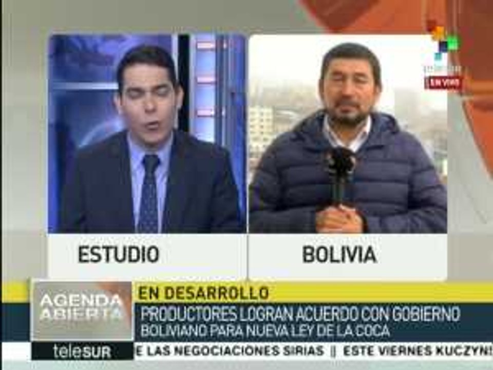 Bolivia: Nueva Ley General de la Coca permite ampliar el cultivo legal