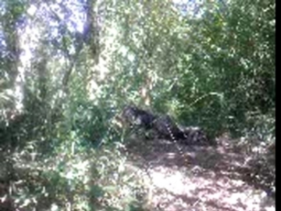 Airsoft - 16/09/2007
