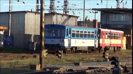 Dj emeverz Ty vole SereDeeNight - YouTube (480p)